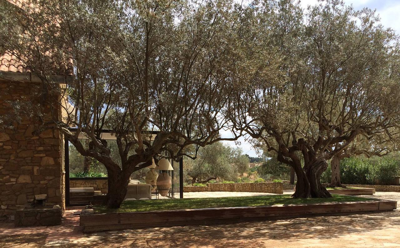 B&B La Collegiata กัลตาจีโรเน ภายนอก รูปภาพ