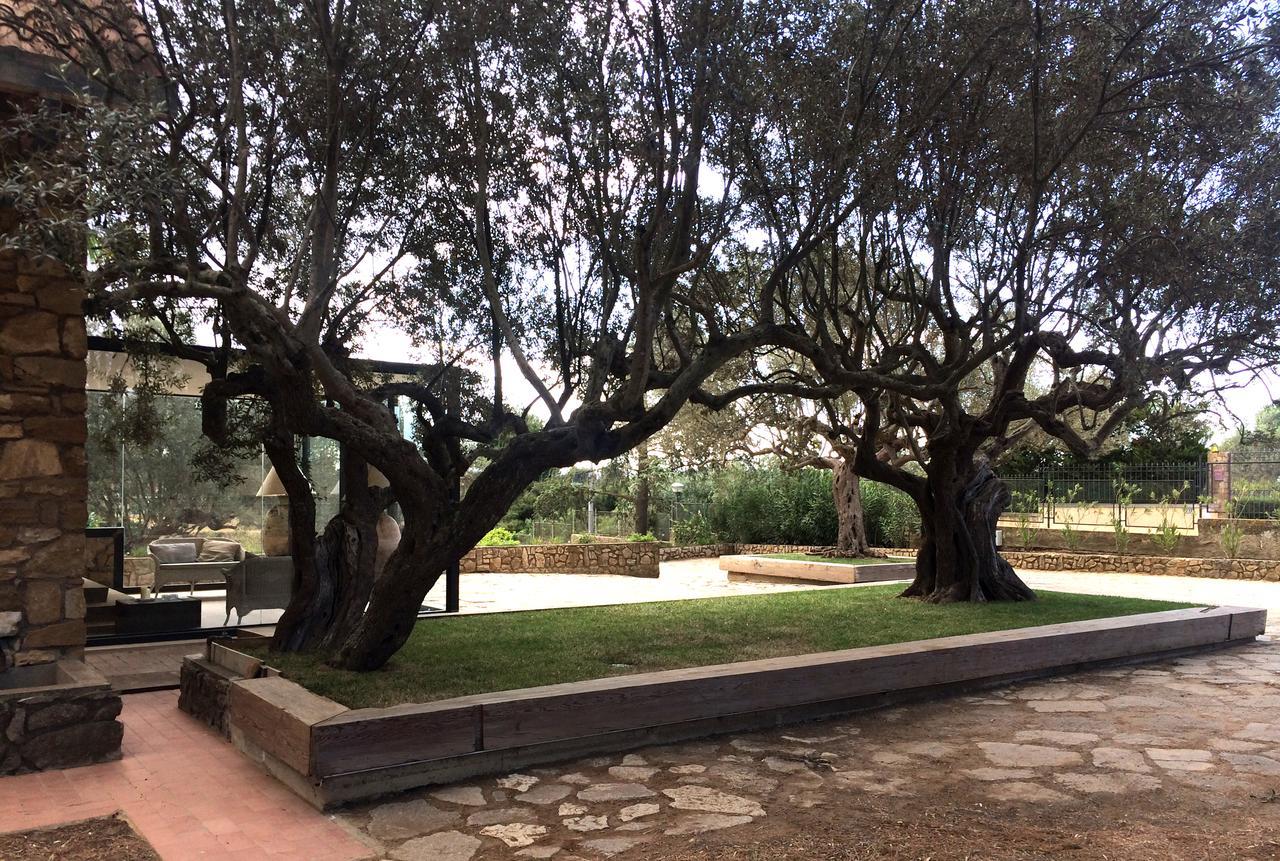 B&B La Collegiata กัลตาจีโรเน ภายนอก รูปภาพ
