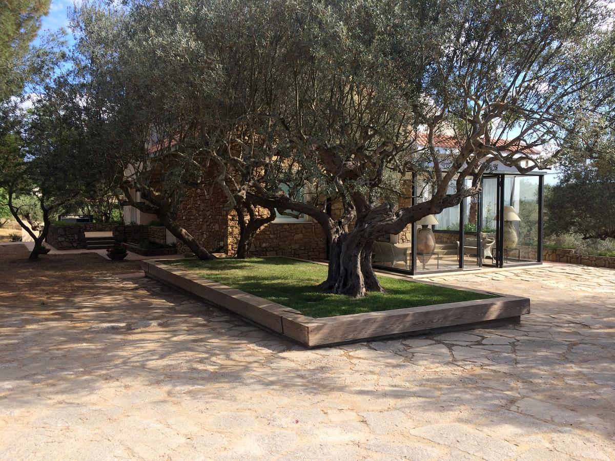 B&B La Collegiata กัลตาจีโรเน ภายนอก รูปภาพ